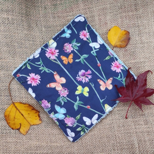 Papillons de lumière